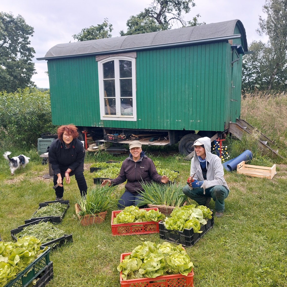 Bergische Gartentour 23. Juni&nbsp;24
