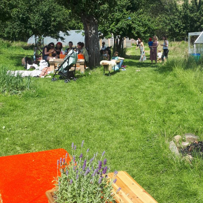 So schön wars! Bergische Gartentour 23. Juni&nbsp;24