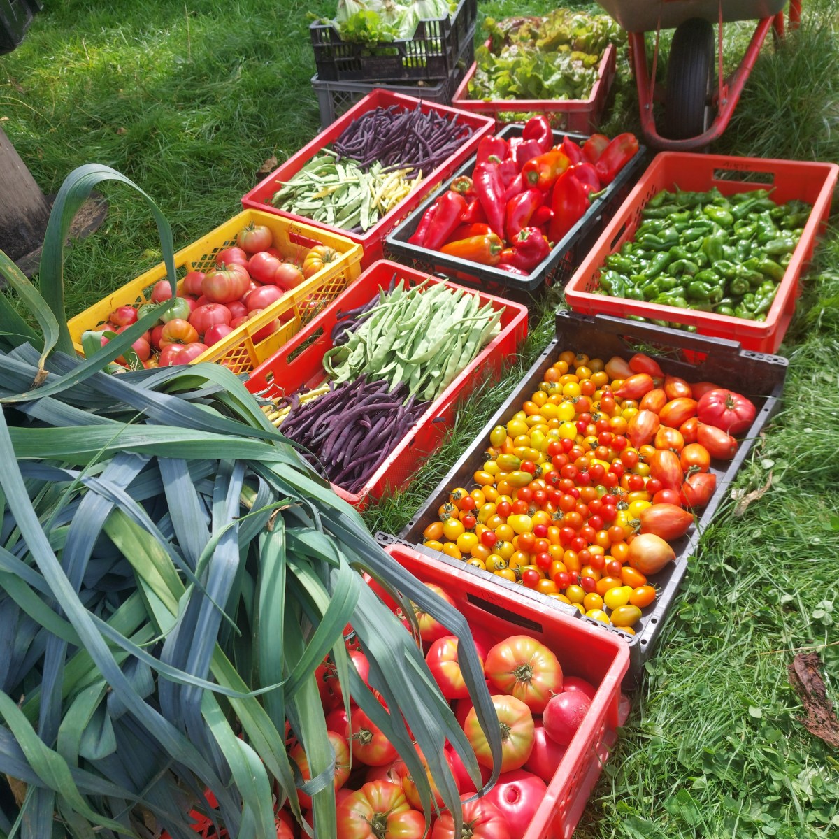 Mitmachen – Solawi-Bieterunde