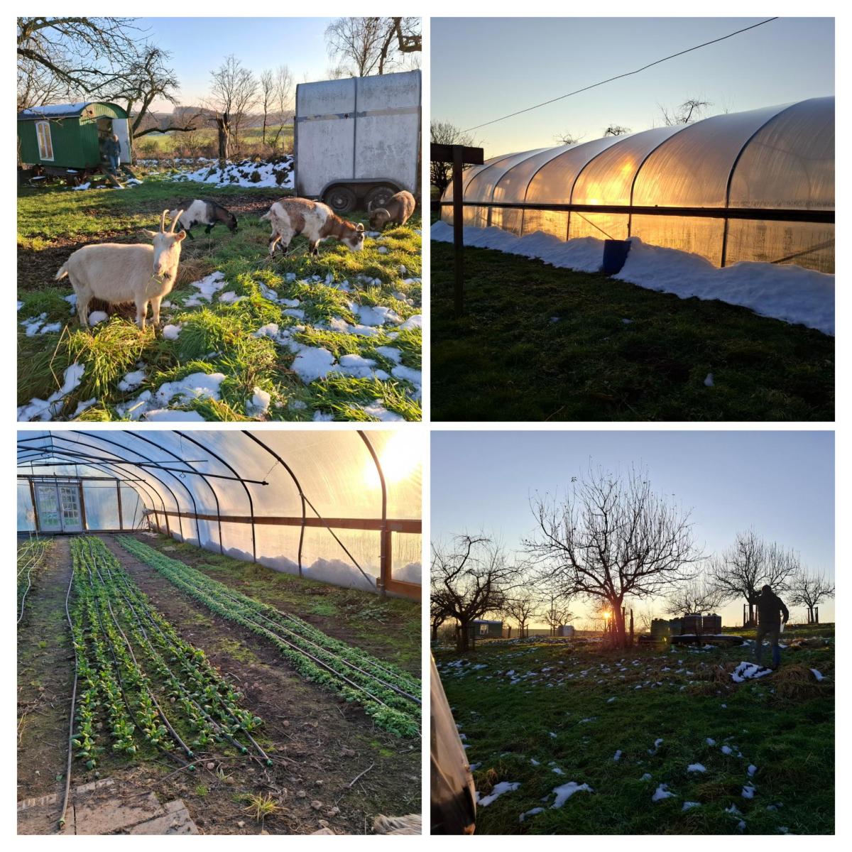 Samstag Nachmittag auf der&nbsp;Solawi