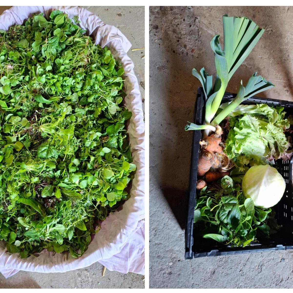 … und weil es so schön&nbsp;war…