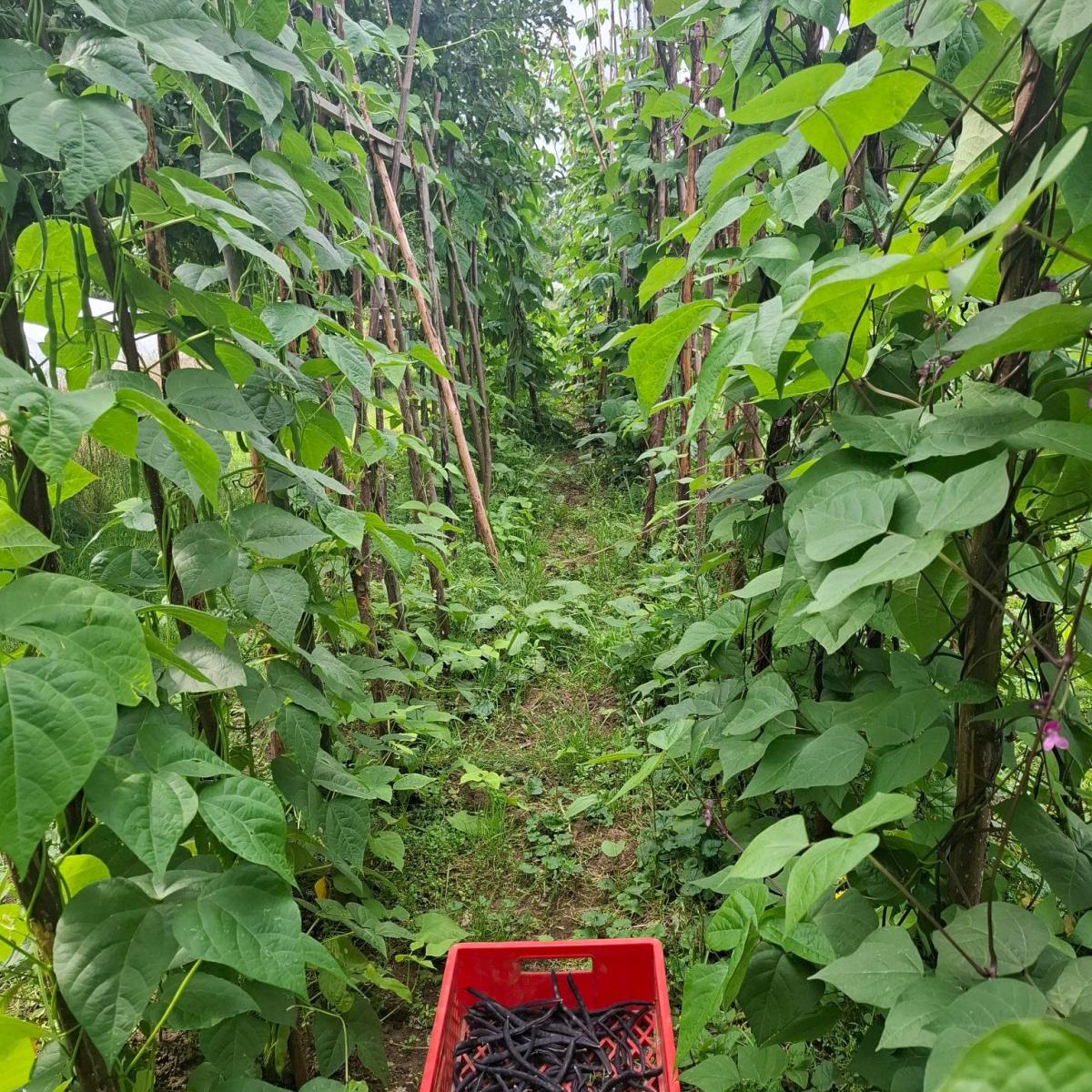 Einladung zur Bieterunde –&nbsp;11.02.26