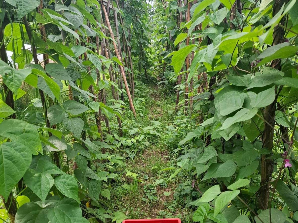 Einladung zur Bieterunde –&nbsp;11.02.26