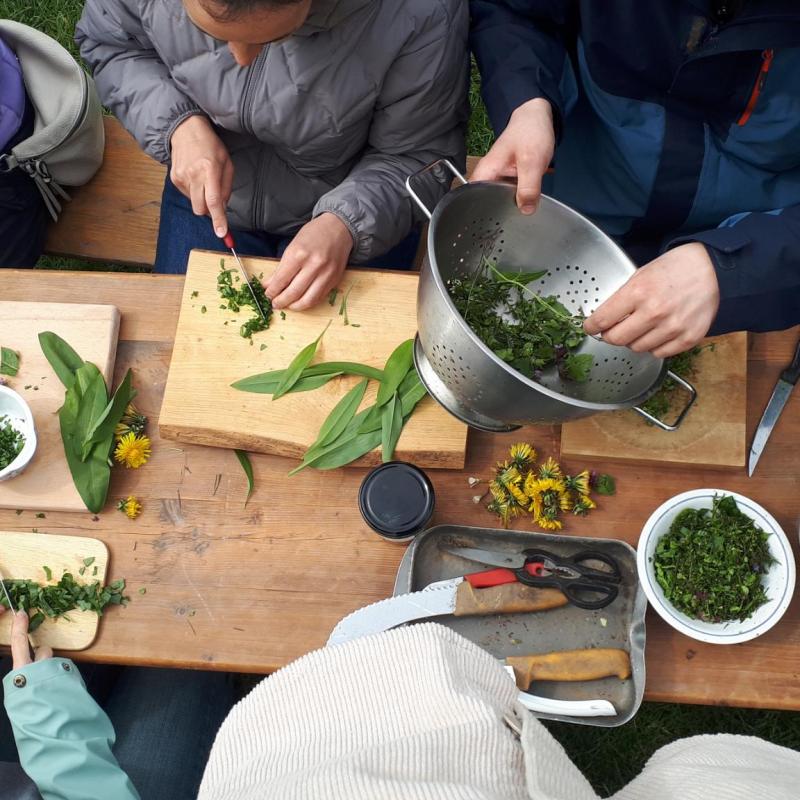 Wildkräutersammeln auf der&nbsp;Solawi