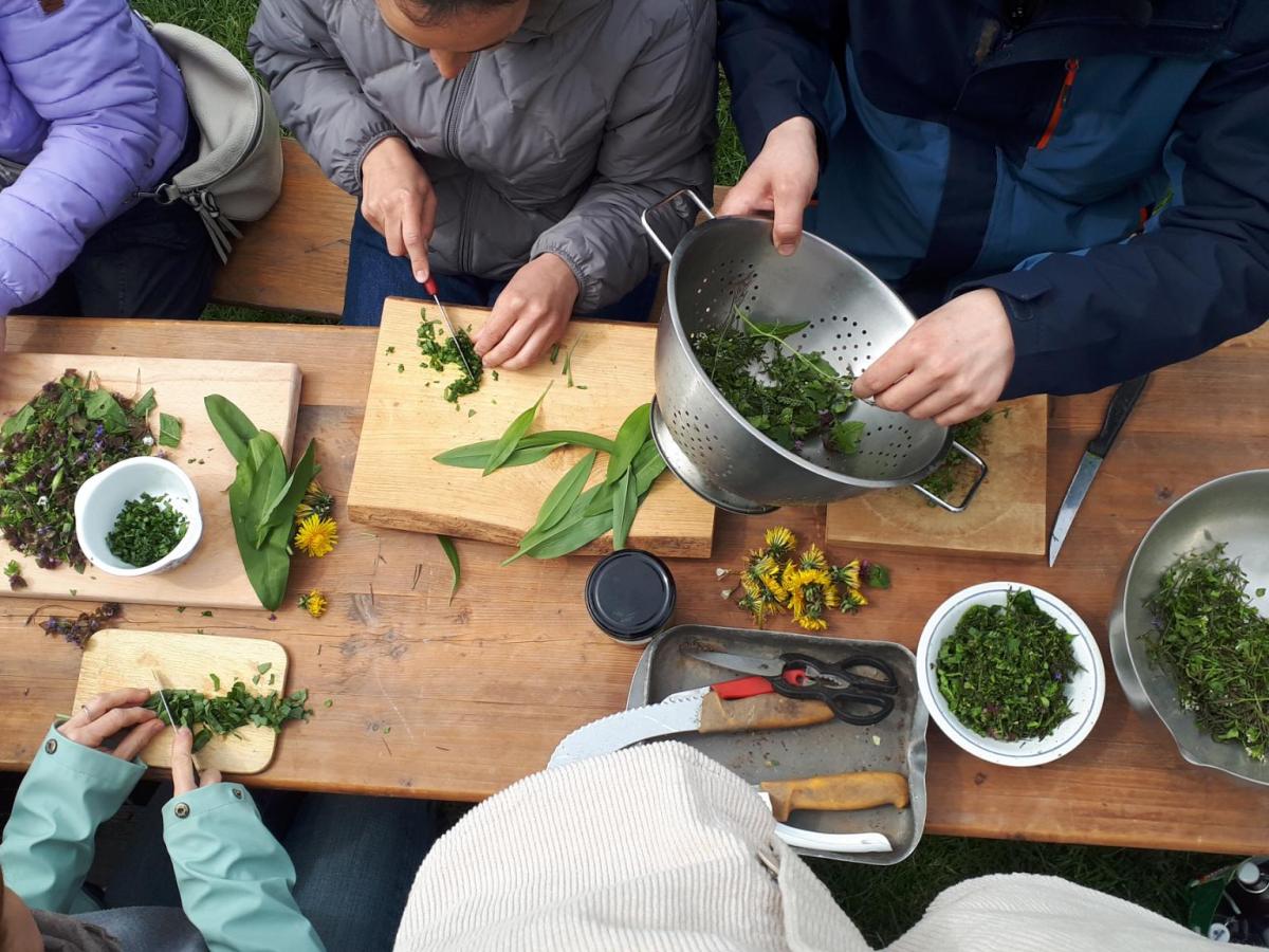 Wildkräutersammeln auf der&nbsp;Solawi